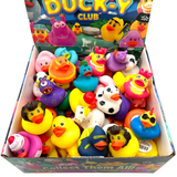 DUCK-Y Rubber Ducks Assorted Ducks Display